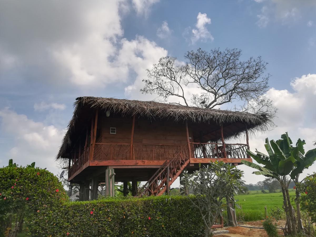 The Hideout Sigiriya Villa ภายนอก รูปภาพ