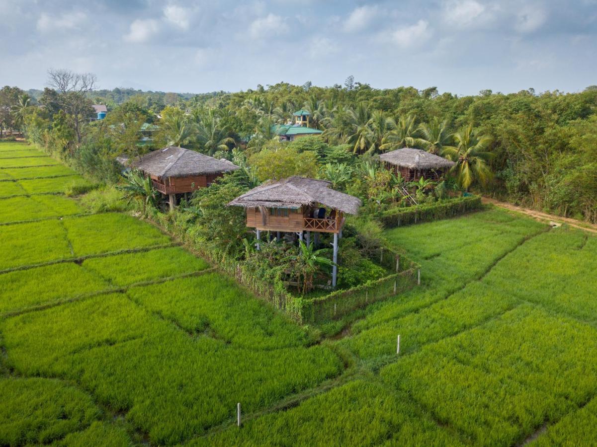 The Hideout Sigiriya Villa ภายนอก รูปภาพ