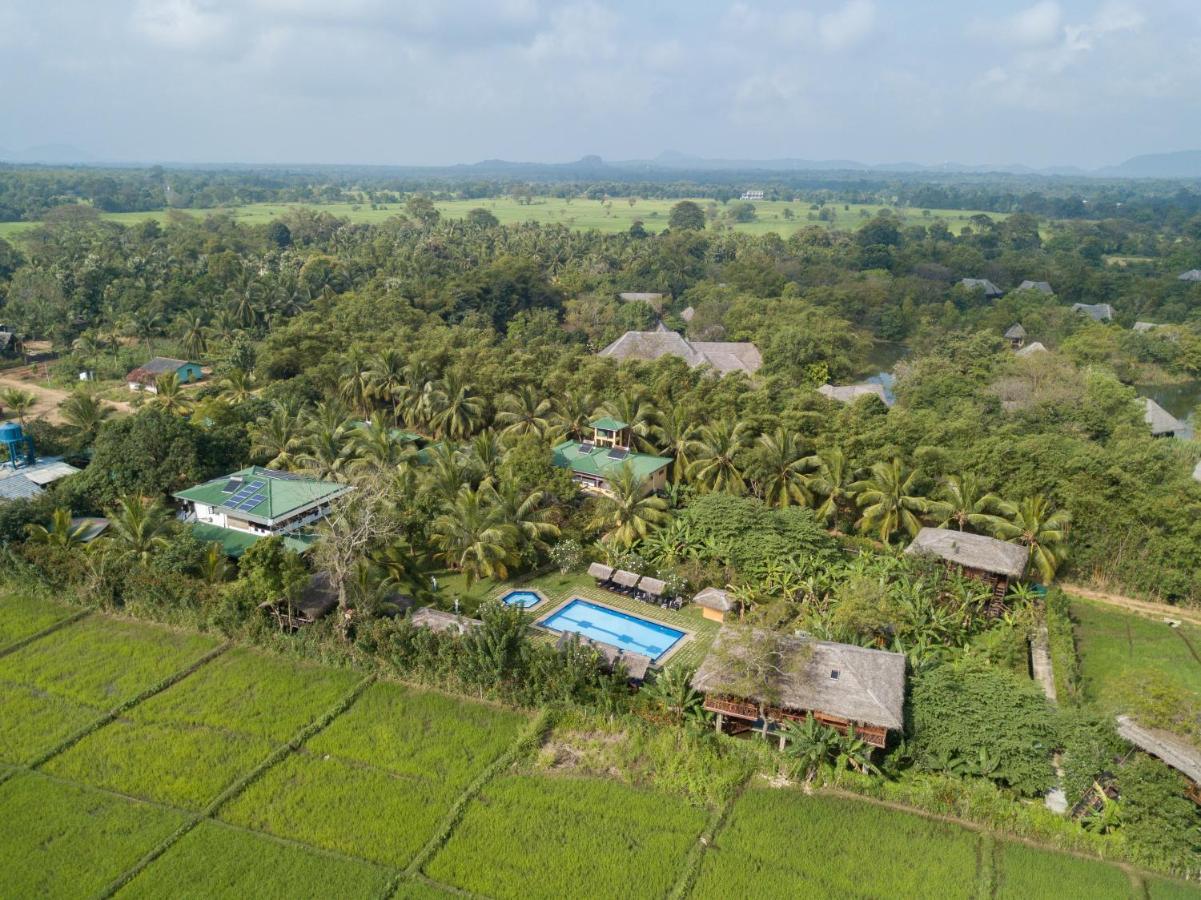 The Hideout Sigiriya Villa ภายนอก รูปภาพ